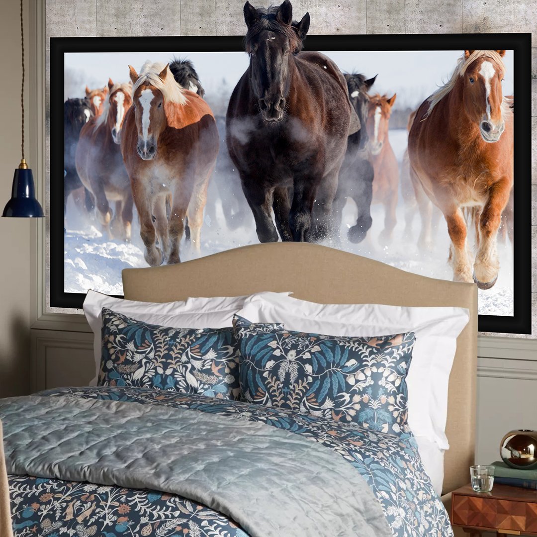 Customised 3D Horse Wallpaper DDS380